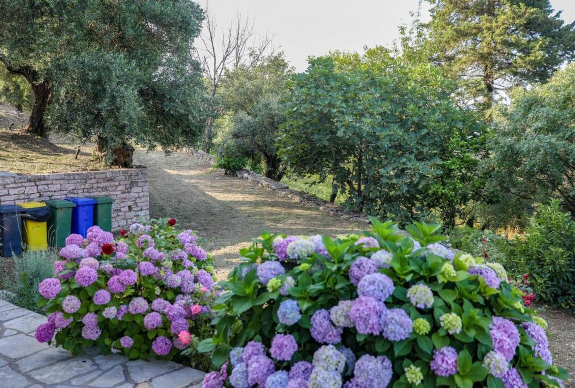 Sinies Stone Cottage - Ne Corfu Agnitsini Bagian luar foto