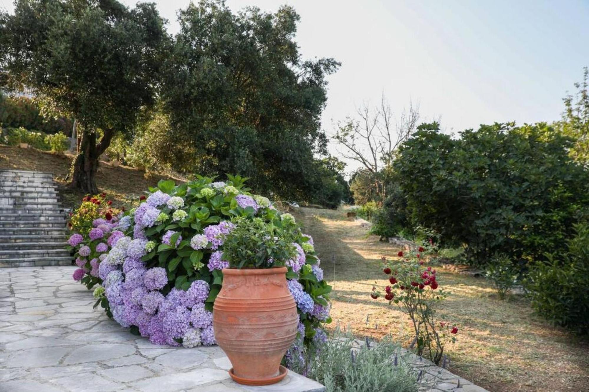 Sinies Stone Cottage - Ne Corfu Agnitsini Bagian luar foto